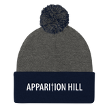 Pom Pom Knit Cap