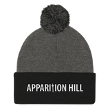 Pom Pom Knit Cap