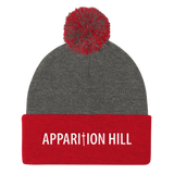 Pom Pom Knit Cap